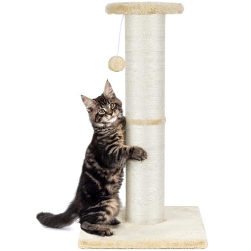 PAWSCRAT Kratzbaum für Katzen, 81,3 cm hoch, großer Durchmesser, natürlicher Sisal, Katzenkratzbaum mit baumelndem Ball, Kratzfest und langlebig, hoher Katzenkratzer für Indoor-Katzen, Schützen Sie von PAWSCRAT