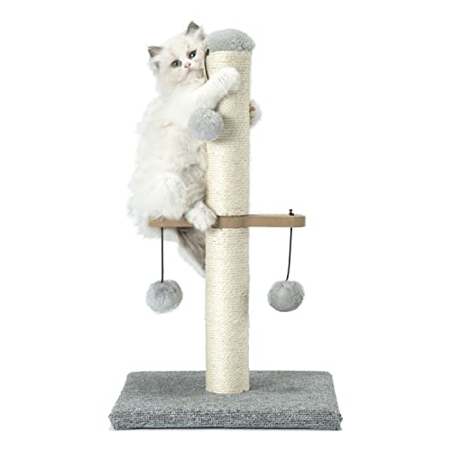 PAWSFANS Kratzbaum, Sisal-Kratzbaum, Kratzbaum für Indoor-Kätzchen und kleine Katzen, mit hängendem Plüschball, 53,3 cm, Grau von PAWSFANS