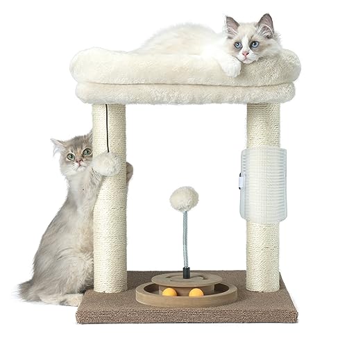 PAWSFANS Kratzbaum, kleiner Katzenturm mit Sitzstange, Kratzbaum für Indoor-Katzen und Kätzchen, Kratzbaum, Spielzeug zum Aufhängen, Beige PAWSFANS Kratzbaum, kleiner Katzenturm mit Sitzstange, Kratzbaum für Indoor-Katzen und Kätzchen, Kratzbaum, Spielzeug zum Aufhängen, Beige von PAWSFANS