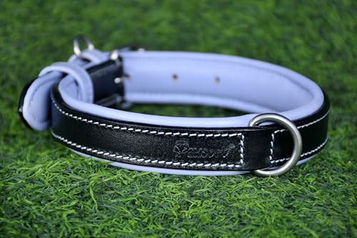 PAWSOFT Klassisches Luxus-Hundehalsband aus echtem Leder, weich gepolstert, für kleine, mittelgroße und große Hunde, Leder mit Anti-Rost-Hardware (Größe M, passend für Halsumfang 35,6 cm, 38,1 cm, von PAWSOFT