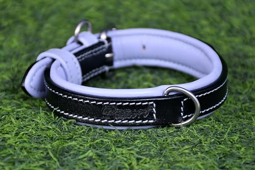 PAWSOFT Klassisches Luxus-Hundehalsband aus echtem Leder, weich gepolstert, für kleine, mittelgroße und große Hunde, Leder mit Anti-Rost-Hardware (Größe – S), passend für Halsumfang 30,5 cm, 33 cm und von PAWSOFT