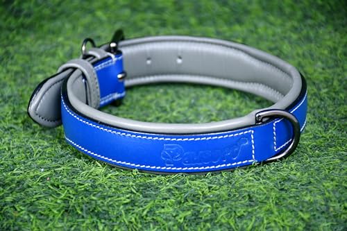 PAWSOFT Klassisches Luxus-Hundehalsband aus echtem Leder, weich gepolstert, für mittelgroße und große Hunde, Leder mit Anti-Rost-Hardware (Größe L), passend für Halsumfang von 45,7 cm, 48,3 cm, 50,8 von PAWSOFT