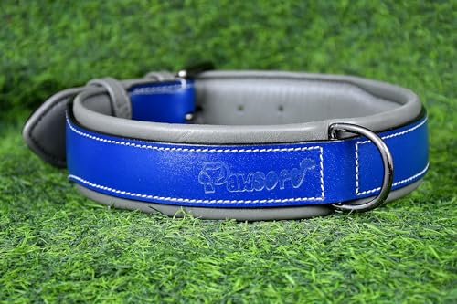 PAWSOFT Klassisches Luxus-Hundehalsband aus echtem Leder, weich gepolstert, für mittelgroße und große Hunde, Leder mit Anti-Rost-Hardware (Größe XL), passend für Halsumfang 53,5 cm, 55,9 cm, 58,9 cm, von PAWSOFT