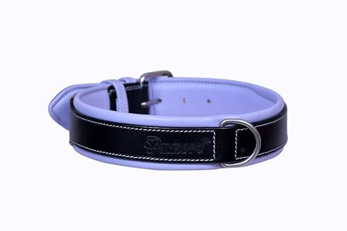 PAWSOFT Klassisches Luxus-Hundehalsband aus Leder mit weicher Polsterung und integriertem Hunde-Nackengurt für mittelgroße und große Hunderassen (Größe XL, Schwarz) PAWSOFT Klassisches Luxus-Hundehalsband aus Leder mit weicher Polsterung und integriertem Hunde-Nackengurt für mittelgroße und große Hunderassen (Größe XL, Schwarz) von PAWSOFT