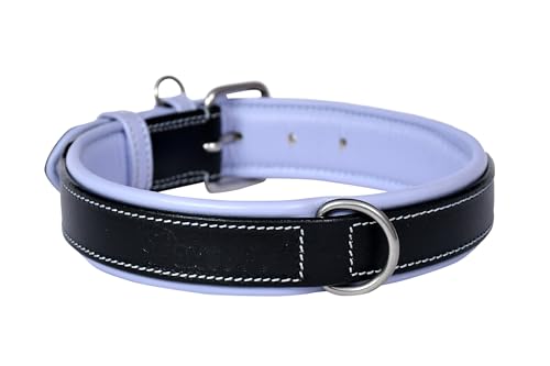 PAWSOFT Klassisches luxuriöses, gepolstertes Leder-Hundehalsband, strapazierfähig, verstellbar, passend für Halsumfang von 35,6–43,2 cm von PAWSOFT