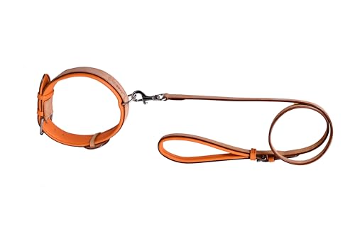 Strapazierfähige Mehrzweck-Hundeleine – Echtleder-Leine – weiches Leder, gepolsterter bequemer Griff für kleine, mittelgroße und große Hunde, weiche Hundeleinen, Lederleine für Hunde (Farbe – Strapazierfähige Mehrzweck-Hundeleine – Echtleder-Leine – weiches Leder, gepolsterter bequemer Griff für kleine, mittelgroße und große Hunde, weiche Hundeleinen, Lederleine für Hunde (Farbe – von PAWSOFT
