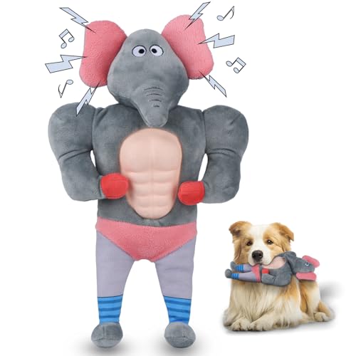 PAWSPURR Quietschendes Hundespielzeug für große, mittelgroße und kleine Hunde von PAWSPURR
