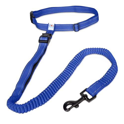 PAWTITAS Laufende Hundeleine Hände frei eine reflektierende Laufleine mit Verstellbarer Taille und 4 Fuß gepolsterter Leine zum Laufen, Gehen, Wandern, Welpentraining | Hundeleine Hände frei. PAWTITAS Laufende Hundeleine Hände frei eine reflektierende Laufleine mit Verstellbarer Taille und 4 Fuß gepolsterter Leine zum Laufen, Gehen, Wandern, Welpentraining | Hundeleine Hände frei. von PAWTITAS