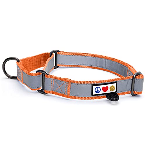 Pawtitas Martingale Hundehalsband Welpenhalsband Reflektierendes Hundehalsband Trainingshalsband für Hunde Erziehungshalsband für Hunde Mittel Hundehalsband Orange Hundehalsband von PAWTITAS