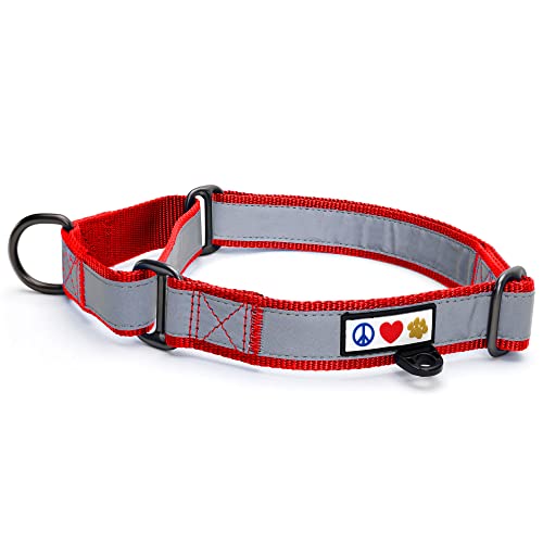 Pawtitas Martingale Hundehalsband Welpenhalsband Reflektierendes Hundehalsband Trainingshalsband für Hunde Erziehungshalsband für Hunde Mittel Hundehalsband Rot Hundehalsband von PAWTITAS