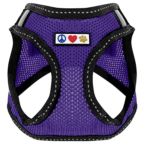 Pawtitas Pet Reflektierendes Hundegeschirr Geschirr zum Hineintreten oder Umlegen, Komfortsteuerung, Trainieren Sie den Spaziergang Ihres Welpen/Hundes - Extra Extra Klein Hundegeschirr Violett Pawtitas Pet Reflektierendes Hundegeschirr Geschirr zum Hineintreten oder Umlegen, Komfortsteuerung, Trainieren Sie den Spaziergang Ihres Welpen/Hundes - Extra Extra Klein Hundegeschirr Violett von PAWTITAS