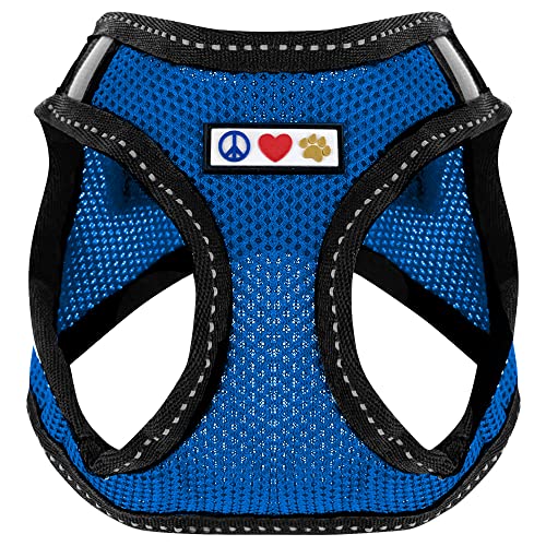 PAWTITAS Pet Reflektierendes Hundegeschirr Geschirr zum Hineintreten oder Umlegen, Komfortsteuerung, Trainieren Sie den Spaziergang Ihres Welpen/Hundes - Extra Klein Hundegeschirr Blau PAWTITAS Pet Reflektierendes Hundegeschirr Geschirr zum Hineintreten oder Umlegen, Komfortsteuerung, Trainieren Sie den Spaziergang Ihres Welpen/Hundes - Extra Klein Hundegeschirr Blau von PAWTITAS