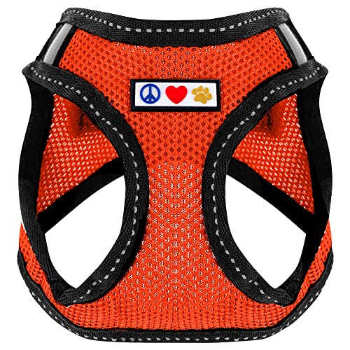 PAWTITAS Pet Reflektierendes Hundegeschirr Geschirr zum Hineintreten oder Umlegen, Komfortsteuerung, Trainieren Sie den Spaziergang Ihres Welpen/Hundes - Medium Hundegeschirr Orange PAWTITAS Pet Reflektierendes Hundegeschirr Geschirr zum Hineintreten oder Umlegen, Komfortsteuerung, Trainieren Sie den Spaziergang Ihres Welpen/Hundes - Medium Hundegeschirr Orange von PAWTITAS