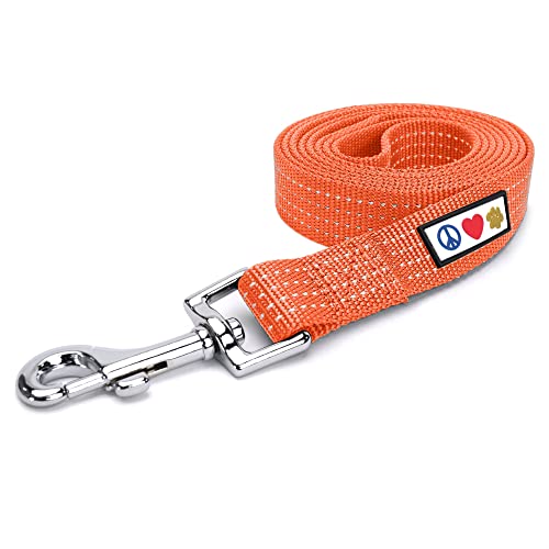Pawtitas Hundeleine 1.8 M Leine Reflektierende Leine Hund Welpenleine bequemer Griff Hundeleine Hundetraining Leine für Hunde Extra kleine Hundeleine/kleine Hundeleine Orange Hundeleine Pawtitas Hundeleine 1.8 M Leine Reflektierende Leine Hund Welpenleine bequemer Griff Hundeleine Hundetraining Leine für Hunde Extra kleine Hundeleine/kleine Hundeleine Orange Hundeleine von PAWTITAS