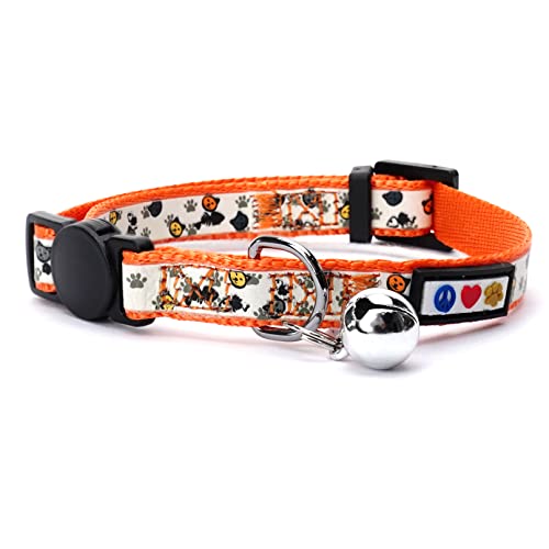Pawtitas Im Dunkeln Leuchtendes Katzenhalsband Mit Sicherheitsschnalle und Abnehmbarer Glocke - Kätzchenhalsband Orange von PAWTITAS