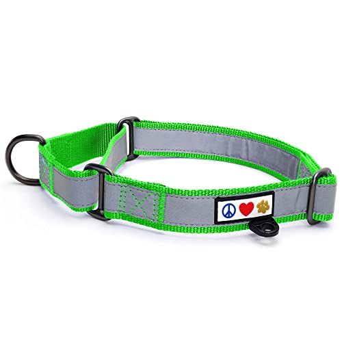 Pawtitas Martingale Hundehalsband Welpenhalsband Reflektierendes Hundehalsband Trainingshalsband für Hunde Erziehungshalsband für Hunde Klein Hundehalsband Grün Hundehalsband von PAWTITAS
