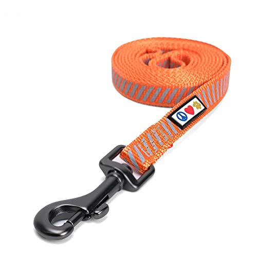 Pawtitas Verkehrssammlung Reflektierende Haustier Welpen Leine Extra klein / klein Orange von PAWTITAS