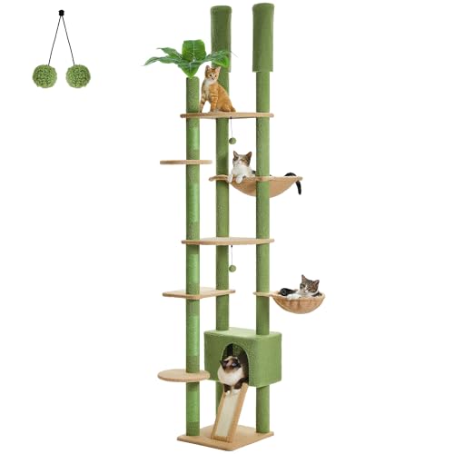PAWZ Road AMT0249GN von PAWZ Road
