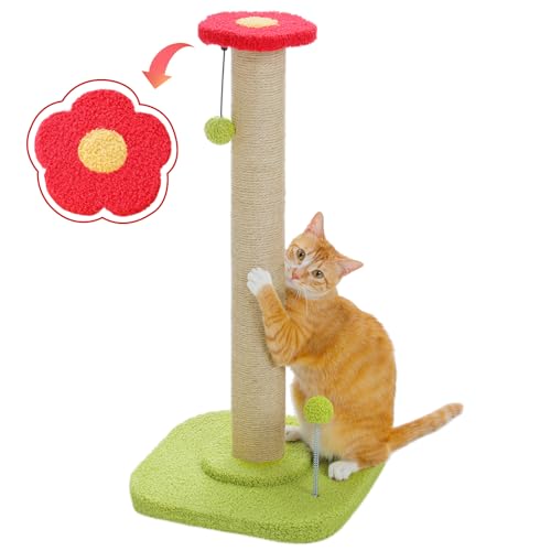 PAWZ Road Blumenkatzenkratzbaum für Indoor-Katzen, 72 cm hoch Katzenkratzbaum mit 100% natürlichem Sisal-Kratzbaum und baumelndem Ball, niedlicher Katzenkratzbaum für Kätzchen von PAWZ Road