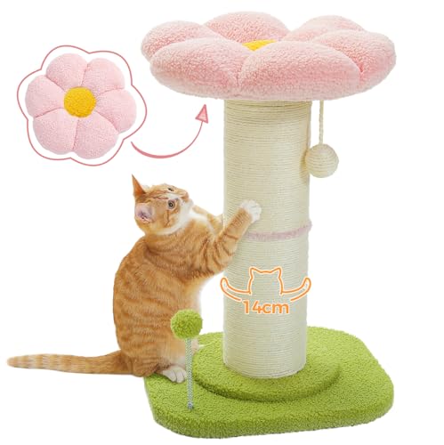 PAWZ Road Flower Katzenkratzbaum - Kleiner Katzenbaum für Indoor-Katzen Mit Super Dickem Kratzbaum [Dia=14cm], Abnehmbares Blumen-Katzenbett, Federball - Rosa von PAWZ Road
