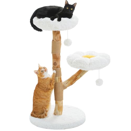 PAWZ Road Holzblumen-Katzenbaum, moderner kratzbaum naturholz, luxuriöse Boho-katzenbaum, Kratzbaum modern mit 2 Plattformen, Kleiner kratzbaum für Katzen, Wolkenweiß von PAWZ Road