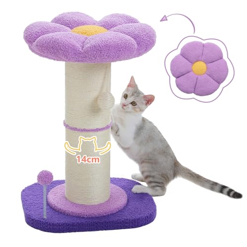 PAWZ Road Blume Katzenkratzbaum, Kleiner Katzenbaum, hoher Katzenkratzbaum für Indoor-Katzen mit super dickem Kratzbaum [Dia=14cm], Abnehmbares Blumen-Katzenbett, Katzenkratzbaum mit Federball, Lila von PAWZ Road