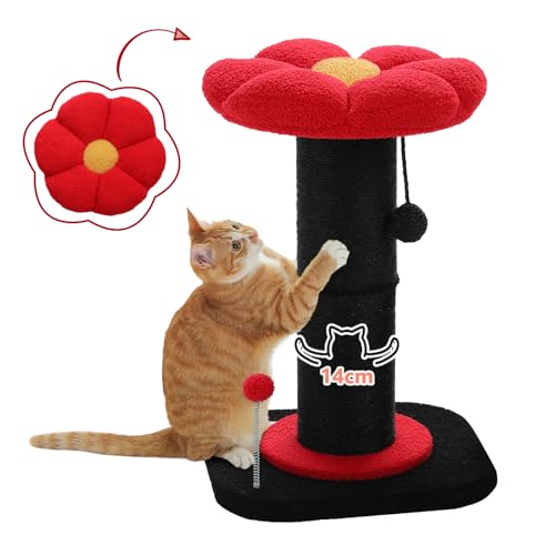 PAWZ Road Gothic Katzenkratzbaum, Hoch für Indoor-Katzen Mit Super Dickem Kratzbaum [Dia=14cm], Abnehmbares Flauschiges Katzenbett, Mit Federball für Halloween von PAWZ Road