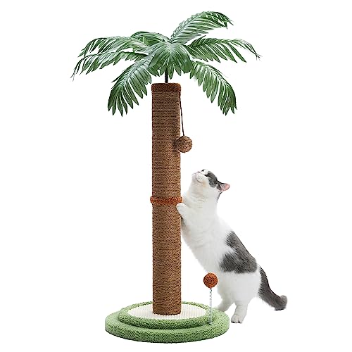 PAWZ Road Kokospalme Katzenkratzbaum, 85cm Höhe Katzenkratzer für Wohnungskatzen mit interaktiven Bällen Braun PAWZ Road Kokospalme Katzenkratzbaum, 85cm Höhe Katzenkratzer für Wohnungskatzen mit interaktiven Bällen Braun von PAWZ Road