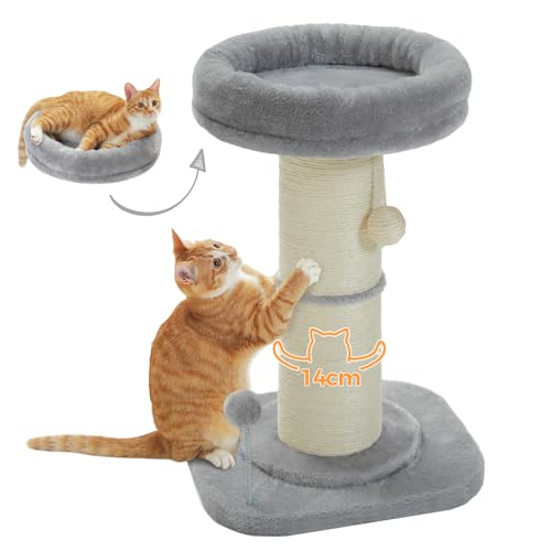 PAWZ Road Top Perch Kratzbaum für den Innenbereich, 13 cm Durchmesser, Kratzbaum mit großer kratzbarer Fläche, H: 60 cm, Grau von PAWZ Road