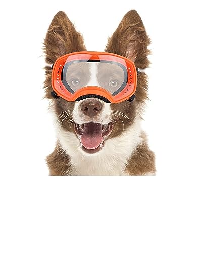 HOOBN Hundebrille für große und mittelgroße Hunde, Katzen – Outdoor, Sommer, wasserabweisend, maschinenwaschbar von PAXTOR