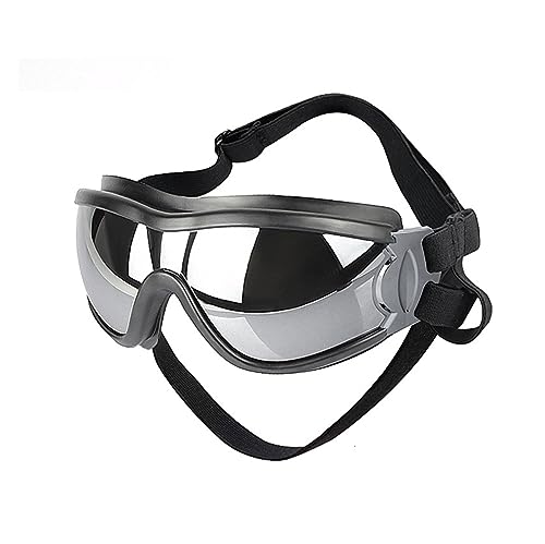 Interessante Haustierhut, Hundesonnenbrille, Wind-, Staub-, Nebel-, Haustierbrille, Augenbekleidung, Katzen- und Hundebekleidung von PAXTOR