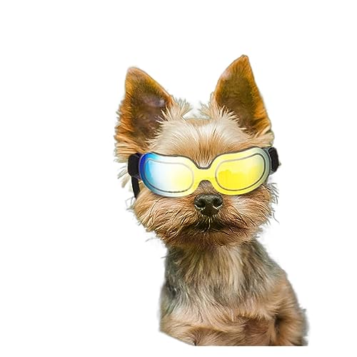 Interessante Haustierhut, Hundesonnenbrille, kleine Hunde, Brille mit verstellbarem Band, winddicht, schneefest, modisch und cool, Katzen- und Hundebekleidung (Farbe: mehrfarbig) von PAXTOR