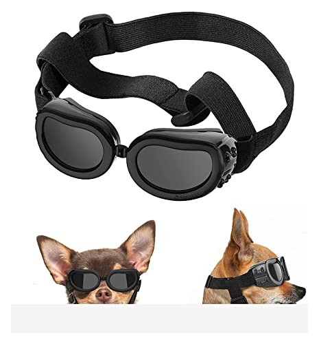 Interessante Haustiermütze, Hundehelm und Brille: Schutz für Hunde, Sonnenbrille, Haustierhut, Motorradhelme, passend für Welpen, Reiten, Katzen- und Hundebekleidung (Farbe: S, Brille-5) von PAXTOR