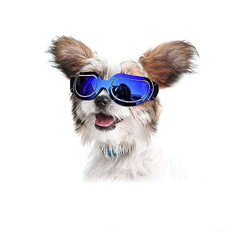Interessante Mütze für Haustiere, Sonnenbrille für Hunde, Brille für kleine Hunde mit verstellbarem Band, winddicht, schneefest, modische Brille für Hunde und Katzen (Farbe: von PAXTOR