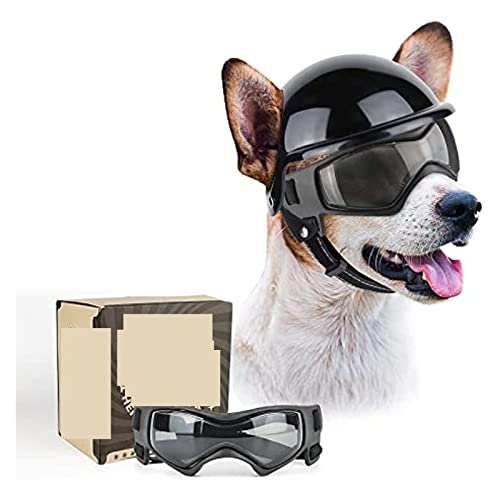 Interessanter Haustierhut, Hundebrille, passend für kleine Hunde mit Helm, 2-teiliges Set für Hunde, Sonnenbrille und Hemet, passend für kleine, mittelgroße Hunde, Outdoor-Fahren, Spazierengehen von PAXTOR