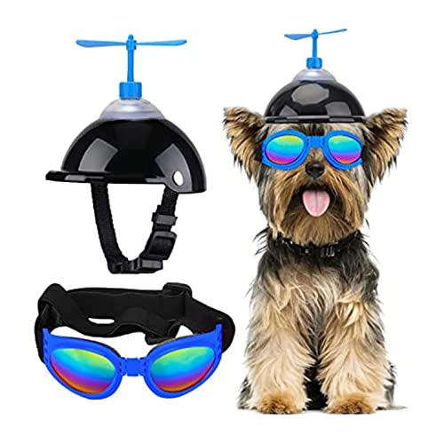 Interessanter Haustierhut, Hundehelm und Brille, Welpen-Sonnenbrille, Schutz, PET-Helm mit niedlichem Propeller, passend für Hundebrille, Radfahren, Reiten, Katzen- und Hundebekleidung (Farbe von PAXTOR