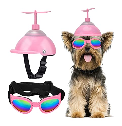 Interessanter Haustierhut, Hundehelm und Brille, Welpen-Sonnenbrille, Schutz, PET-Helm mit niedlichem Propeller, passend für Hundebrille, Radfahren, Reiten, Katzen- und Hundebekleidung (Farbe von PAXTOR
