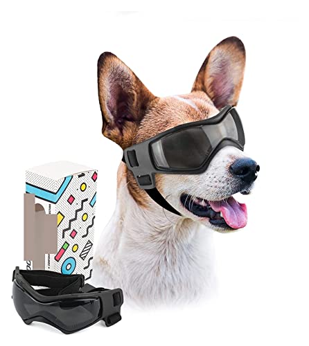 Interessanter Haustierhut, Hundesonnenbrille, Haustierhelm, Set mit Hundebrille, Windschutz, Hundebrille, Hundehelm und Schutzbrille, Motorradhelm, Katzen- und Hundebekleidung (Farbe: M, Schwarz von PAXTOR