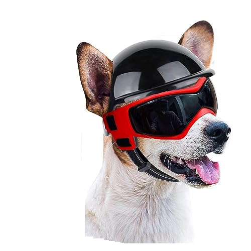 Interessanter Haustierhut, Hundesonnenbrille, Haustierhelm-et Set mit Schutzbrille, Staub, Wind, Hundebrille, Hundehelm-et und Schutzbrille, Hundekleidung für Hunde, Katzen und Hunde (Farbe: M, Rot von PAXTOR