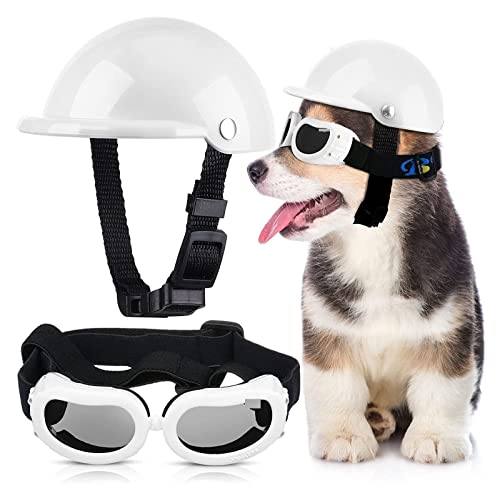Interessanter Haustierhut, Welpenhelm, Schutzbrille, Sonnenbrille, Haustier-Hundebrille, Motorrad, harter Hut mit verstellbarem Gürtel, winddichte Katzen- und Hundebekleidung (Farbe: Weiß, Größe: 44) von PAXTOR
