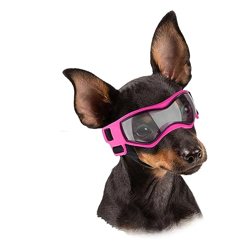 Interessanter Haustierhut Hundebrille Kleine Hundesonnenbrille für kleine Rassen Brillen für kleine Hunde Welpen Fahren Outdoor-Reitkleidung für Katzen und Hunde (Color : Small Pink) von PAXTOR