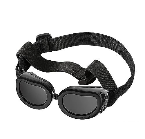 Interessantes Haustiermütze, Haustier-Hundehelm und -Brille, gepolsterter Motorradhelm und Hundesonnenbrille, Haustierkappe und entzückende Haustierbrille, Katzen- und Hundebekleidung (Farbe von PAXTOR