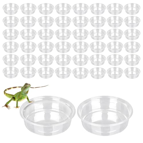 PEAPIN 50 Stück Reptilien-Futternäpfe – Kunststoff-Futterbecher für Schildkröten/Geckowasser & Mehlwürmer – Eidechsen-Tankzubehör PEAPIN 50 Stück Reptilien-Futternäpfe – Kunststoff-Futterbecher für Schildkröten/Geckowasser & Mehlwürmer – Eidechsen-Tankzubehör von PEAPIN