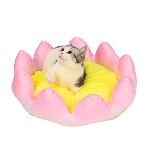 PECHVINO Katzenbett in Lotusblumenform, 57,1 cm, ultraweich, Plüsch, unwiderstehlich bequem, ideal für kleine bis mittelgroße Katzen – symbolische Eleganz von PECHVINO