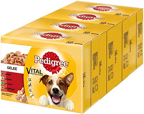 Mars PEDIGREE® Portionsbeutel Multipack Favourite 4 Varietäten in Gelee mit Huhn, Rind+Leber, Geflügel, Lamm+Leber 4 x 12 x 100g von Pedigree