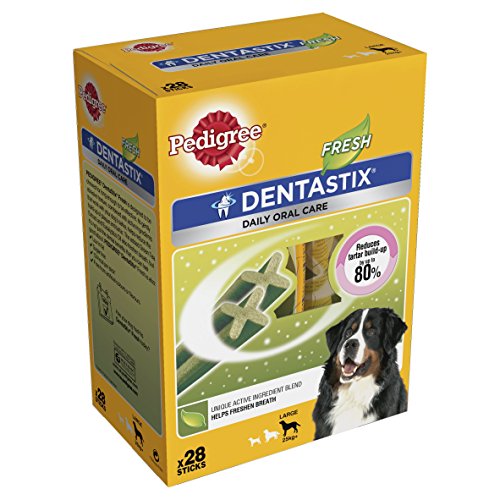 PEDIGREE 722406/1198 Hundesnacks Hundeleckerli Dentastix Daily Fresh Zahnpflege 1080 g, 4er Pack (4 x 28 Sticks x 1080 g) von PEDIGREE