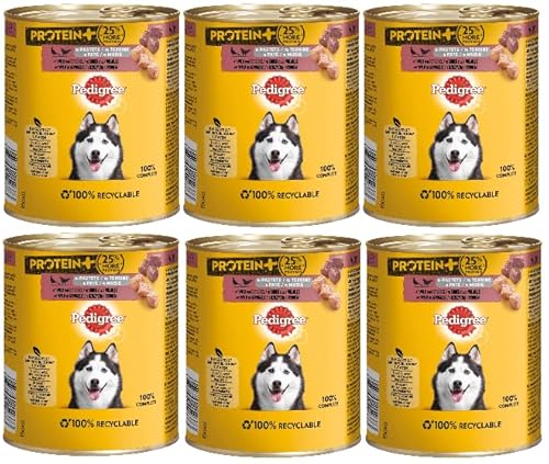 PEDIGREE Dose Protein+ in Pastete Hundefutter Nassfutter - Verschiedene Geschmacksrichtungen (6x800g, Wild & Geflügel) von PEDIGREE