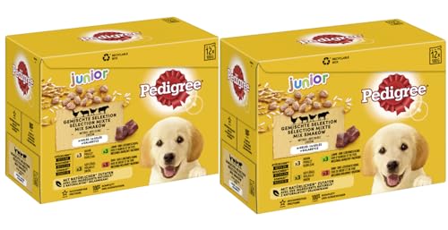 PEDIGREE Multipack - Verschiedene Geschmacksrichtungen (2x12x100g, Junior 4 Varietäten in Gelee mit Huhn, Rind+Leber, Geflügel, Lamm+Leber) von PEDIGREE