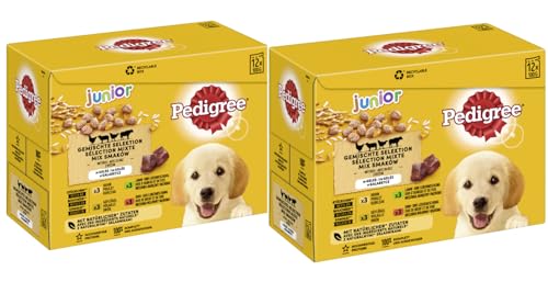 PEDIGREE Multipack - Verschiedene Geschmacksrichtungen (2x12x100g, Junior 4 Varietäten in Gelee mit Huhn, Rind+Leber, Geflügel, Lamm+Leber) von PEDIGREE