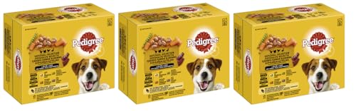 PEDIGREE Multipack - Verschiedene Geschmacksrichtungen (3x12x100g, Adult Geflügel-Selektion 4 Varietäten in Sauce mit Huhn, Truthahn, Geflügel, Ente) von PEDIGREE